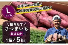 【先行予約・2025年9月中旬より順次発送】鹿児島県産 掘りたて 紅はるか 5kg (1箱 ) Lサイズ (美味しい焼き芋の焼き方 説明書付き） | さつまいも サツマイモ 焼き芋 べにはるか おやつ 煮物 芋ごはん 味噌汁 鹿児島県 南大隅町 株式会社フォレスト 掘りたて（AX7532）