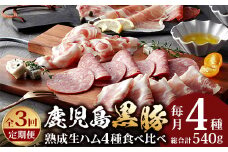 【定期便】南州農場 黒豚熟成生ハム4種食べ比べ セット 全3回 | 国産 肉 お肉 豚肉 豚 にく ぶた かごしま黒豚 生ハム 最高峰 熟成ハム コッパ パンチェッタ コッホサラミ スパイス サラミ 冷蔵 詰め合わせ 産地直送 ギフト プレゼント 贈り物 鹿児島県 南大隅町 A7519