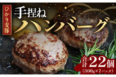 鹿児島県産 ひかり麦豚 手捏ねハンバーグ セット サイズ違い 大中小 計22個 | 肉 お肉 にく 豚肉 黒豚 かごしま黒豚 手ごね 絶品 ハンバーグ 添加物不使用 肉汁 ジューシー おかず お弁当 ロコモコ 冷凍 産地直送 小分け 甘み 鹿児島県 南大隅町 ひかり麦豚直売所 BK705