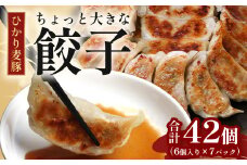 鹿児島県産 ひかり麦豚 ちょっと大きな 餃子 42個 セット | 肉 お肉 にく 豚肉 黒豚 かごしま黒豚 ミンチ 肉汁 ジューシー 食べ応え抜群 焼き餃子 水餃子 おかず お弁当 冷凍 パック 産地直送 鹿児島県 南大隅町 ひかり麦豚直売所 BK707