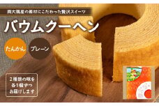 バウムクーヘン 2個セット ( プレーン ・ たんかん )｜菓子 おかし スイーツ デザート バウムクーヘン 食品 人気 おすすめ たんかん 柑橘 SH-714