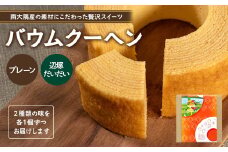 バウムクーヘン 2個セット ( プレーン ・ 辺塚だいだい)｜菓子 おかし スイーツ デザート バウムクーヘン 食品 人気 おすすめ 柑橘 SH-715