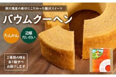 バウムクーヘン 2個セット ( たんかん ・ 辺塚だいだい )｜菓子 おかし スイーツ デザート バウムクーヘン 食品 人気 おすすめ たんかん 柑橘 SH-716