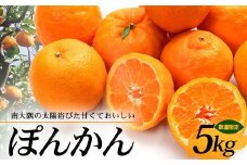 【先行予約・数量限定】南大隅の太陽浴びた甘くて・おいしい ぽんかん 5kg【2026年1月中旬以降順次発送】｜ぽんかん ポンカン 柑橘 甘い 果物 新鮮 産地 直送 先行予約 おすすめ 人気 南大隅町(ID-1)