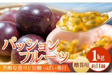 【2026年・先行予約】贈答用パッションフルーツ1kg （約11個） 濱田農園 ｜先行予約 産地直送 新鮮 パッション フルーツ 南大隅町 果物 果実 ギフト プレゼント濱田農園 贈答用 人気 南国フルーツ  HB-706