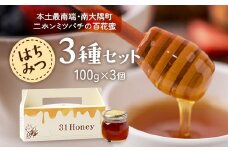 【数量限定】日本みつばち蜂蜜 31Honey（サーティーワン ハニー） ハチミツ3種セット（100g×3個）｜はちみつ 日本みつばち 養蜂 百花蜜 瓶詰 産地直送 常温 鹿児島県 南大隅町 南大隅町日本みつばち研究会　MM-1