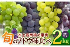 【数量限定！本土最南端ぶどう】旬のブドウ味くらべ２キロ（５～６房）｜ぶどう 葡萄 ブドウ 果物 人気 新鮮 高級 ギフト 鹿児島県 南大隅町 贈答 くだもの 期間限定 数量限定 鹿児島県 南大隅町 有限会社ティエラ　TE708