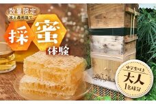 【期間限定】数量限定！『本土最南端で採蜜体験』大人1名（中学生以上）｜はちみつ 採蜜 体験 人気 養蜂 日本みつばち 自然 南大隅町 CC7001