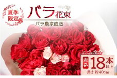 【先行予約・夏季限定】ばら農家直送！ばら花束18本以上お届け(赤系) 【ギフト対応可】│花 フラワー 花束 ばら 薔薇 バラ 誕生日 記念日 結婚祝い ギフト プレゼント お祝い 贈り物 贈答 鹿児島県 南大隅町 富田バラ園 TB-1