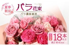 【先行予約・夏季限定】ばら農家直送！ばら花束18本以上お届け(ピンク系)【ギフト対応可】│花 フラワー 花束 ばら 薔薇 バラ 誕生日 記念日 結婚祝い ギフト プレゼント お祝い 贈り物 贈答 鹿児島県 南大隅町 富田バラ園 TB-2
