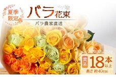 【先行予約・夏季限定】ばら農家直送！ばら花束18本以上お届け(黄系)│花 フラワー 花束 ばら 薔薇 バラ 誕生日 記念日 結婚祝い ギフト プレゼント お祝い 贈り物 贈答 鹿児島県 南大隅町 富田バラ園 TB-3
