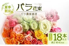 【先行予約・夏季限定】ばら農家直送！ばら花束18本以上お届け(色はおまかせ)【ギフト対応可】│花 フラワー 花束 ばら 薔薇 バラ 誕生日 記念日 結婚祝い ギフト プレゼント お祝い 贈り物 贈答 鹿児島県 南大隅町 富田バラ園 TB-4