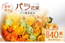 【先行予約・夏季限定】ばら農家直送！ばら花束40本以上お届け(黄系) 【ギフト対応可】│花 フラワー 花束 ばら 薔薇 バラ 誕生日 記念日 結婚祝い ギフト プレゼント お祝い 贈り物 贈答 鹿児島県 南大隅町 富田バラ園 TB-7