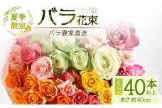 【先行予約・夏季限定】ばら農家直送！ばら花束40本以上お届け(色はおまかせ) 【ギフト対応可】│花 フラワー 花束 ばら 薔薇 バラ 誕生日 記念日 結婚祝い ギフト プレゼント お祝い 贈り物 贈答 鹿児島県 南大隅町 富田バラ園 TB-8