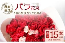 【人気の春・冬ばらをお届け】ばら農家直送！ばら花束15本以上お届け(赤系) 【ギフト対応可】│花 フラワー 花束 ばら 薔薇 バラ 誕生日 記念日 結婚祝い ギフト プレゼント お祝い 贈り物 贈答 鹿児島県 南大隅町 富田バラ園 TB-9