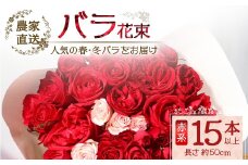 【先行予約】【人気の春・冬薔薇をお届け】ばら農家直送！バラ花束15本以上お届け(赤系) 【ギフト対応可】TB-9│ローズ 新鮮 花 フラワー 花束 ばら 薔薇 バラ 誕生日 記念日 結婚祝い ギフト プレゼント お祝い 贈り物 贈答 鹿児島県 南大隅町 富田バラ園