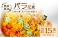 ※画像はイメージです。