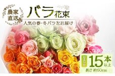 【人気の春・冬ばらをお届け】ばら農家直送！ばら花束15本以上お届け(色はおまかせ) 【ギフト対応可】│花 フラワー 花束 ばら 薔薇 バラ 誕生日 記念日 結婚祝い ギフト プレゼント お祝い 贈り物 贈答 鹿児島県 南大隅町 富田バラ園 TB-12