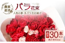 【人気の春・冬ばらをお届け】ばら農家直送！ばら花束30本以上お届け(赤系) 【ギフト対応可】│花 フラワー 花束 ばら 薔薇 バラ 誕生日 記念日 結婚祝い ギフト プレゼント お祝い 贈り物 贈答 鹿児島県 南大隅町 富田バラ園 TB-13