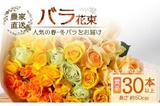 【人気の春・冬ばらをお届け】ばら農家直送！ばら花束30本以上お届け(黄系) 【ギフト対応可】│花 フラワー 花束 ばら 薔薇 バラ 誕生日 記念日 結婚祝い ギフト プレゼント お祝い 贈り物 贈答 鹿児島県 南大隅町 富田バラ園 TB-15