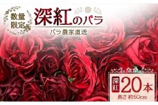 【数量限定・ギフト】ばら農家直送！深紅のばら20本お届け│花 フラワー 花束 ばら 薔薇 バラ 誕生日 記念日 結婚祝い プロポーズ ギフト プレゼント お祝い 贈り物 贈答 鹿児島県 南大隅町 富田バラ園 TB-17