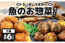 【食卓応援！】【冷凍】すり身カツ(12個×２パック)＋すり身(300g×２個)＋地魚ニンニク醤油揚げ(170g×２パック) 清丸水産｜鹿児島県 南大隅 味付け 油で揚げるだけ お弁当 おつまみ 魚 KS-13