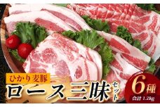 鹿児島県産 ひかり麦豚 ロース三昧セット6種類 （200g×6パック）計1.2kg トレーなし 冷凍 | 精肉 肉 お肉 にく 豚肉 黒豚 かごしま黒豚 ロース肉 ロース 肩ロース 真空冷凍 産地直送 新鮮 小分け 産地直送 鹿児島県 南大隅町 ひかり麦豚直売所　HM-12
