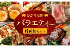 鹿児島県産 ひかり麦豚 バラエティーセット 冷凍 精肉 加工品 | 肉 お肉 にく 豚肉 黒豚 かごしま黒豚 ロース ハンバーグ メンチかつ 衣付き 餃子 真空冷凍 産地直送 新鮮 小分け 産地直送 鹿児島県 南大隅町 ひかり麦豚直売所　HM-13