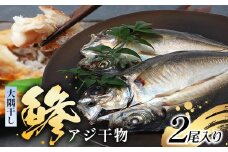 鹿児島県産 干物 アジ (大サイズ 2枚入り) 開き 大隅干し 冷凍 | 国産 真アジ 鯵 ひもの 海鮮 天然鮮魚 新鮮 瞬間冷凍 産地直送 加工品 朝ご飯 おかず グルメ 鹿児島県 南大隅町 ピットスリー　PT-1