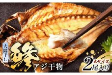 鹿児島県産 アジ 干物 大サイズ×2枚 ≪合計2枚≫［1枚 約22～25センチ］PT-1 | 開き 大隅干し 冷凍 国産 鯵 ひもの 海鮮 新鮮 瞬間冷凍 産地直送 鹿児島県 南大隅町 ピットスリー