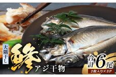 鹿児島県産 干物 アジ (大サイズ 2枚入り)×3パック 開き 大隅干し 冷凍 | 国産 真アジ 鯵 ひもの 海鮮 天然鮮魚 新鮮 瞬間冷凍 産地直送 加工品 朝ご飯 おかず グルメ 鹿児島県 南大隅町 ピットスリー　PT-3