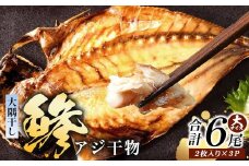 鹿児島県産 アジ 干物 大サイズ (2枚×3パック) ≪合計6枚≫［1枚 約22～25センチ］PT-3 | 開き 大隅干し 冷凍 国産 鯵 ひもの 海鮮 新鮮 瞬間冷凍 産地直送 鹿児島県 南大隅町 ピットスリー