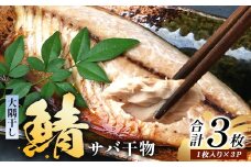 鹿児島県産 干物 サバ (半身分1枚入り)×3パック 開き 大隅干し 冷凍 | 国産 鯖 ごまさば ひもの 海鮮 天然鮮魚 新鮮 瞬間冷凍 産地直送 加工品 朝ご飯 おかず グルメ 鹿児島県 南大隅町 ピットスリー　PT-4
