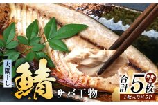 鹿児島県産 サバ 干物 (半身分1枚入り)×5パック ≪合計5枚≫ PT-5 | 開き 大隅干し 冷凍 国産 鯖 ごまさば ひもの 海鮮 新鮮 瞬間冷凍 産地直送 加工品 朝ご飯 おかず グルメ 鹿児島県 南大隅町 ピットスリー