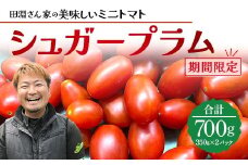 《期間限定》田淵さんちの美味しい ミニトマト シュガープラム（約700g）GP-1｜鹿児島県 南大隅 産地直送 旬 とまと トマト ミニトマト リコピン 完熟 甘い 高糖度 野菜 やさい 送料無料