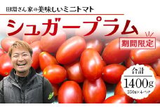 《期間限定》田淵さんちの美味しい ミニトマト シュガープラム（約1,400g）GP-2｜鹿児島県 南大隅 産地直送 旬 とまと トマト ミニトマト リコピン 完熟 甘い 高糖度 野菜 やさい 送料無料