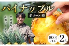 【先行受付】パイナップル/ボゴール種 (約800g×2玉) ≪2026年7月下旬以降順次発送≫ DS-004 ｜パイン パイナップル パインアップル フルーツ ボゴールパイン スナックパイン 産地直送 送料無料 鹿児島県 南大隅町 株式会社デラセーラ