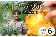【先行受付】パイナップル/ボゴール種 (約800g×6玉) ≪2026年7月下旬以降順次発送≫ DS-1 ｜パイン パイナップル パインアップル フルーツ ボゴールパイン スナックパイン 産地直送 送料無料 鹿児島県 南大隅町 株式会社デラセーラ
