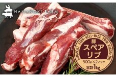 花の木農場 鹿児島県産 豚スペアリブ 約1kg（500g×2パック）HK-17｜ 豚肉 精肉 冷凍 国産 お肉 スペアリブ BBQ 煮込み 農福連携 鹿児島県 南大隅町 花の木ファーム