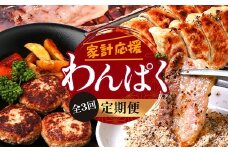【定期便全3回】ひかり麦豚 わんぱく定期便 ≪月替わりで焼肉・ハンバーグ・餃子をお届け！≫ 冷凍 HM-10 | 肉 お肉 にく 豚肉 焼き肉 ロース肉 肩ロース バラ肉 ハンバーグ ギョウザ ぎょうざ 真空冷凍 産地直送 小分け パック 手作り 鹿児島県 南大隅町 ひかり麦豚直売所