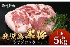 【南大隅町限定】かごしま黒豚 うでブロック（約5.0kg） NS-4 | 肉 豚肉 ぶた 豚 ブタ 黒豚 かごしま黒豚 うで ブロック 新鮮 産地直送 限定 鹿児島県 南大隅町 南州農場