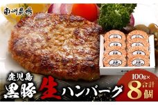 鹿児島県産 黒豚生ハンバーグセット（8個入）冷凍 NS-12 ❘ 肉 お肉 豚肉 豚 にく ぶた かごしま黒豚 ハンバーグ おかず ジューシー 小分け ギフト おかず お弁当 国産 鹿児島県 南大隅町 南州農場