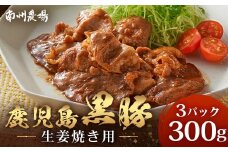鹿児島県産 黒豚生姜焼きセット 100g×3パック 味付き肉 冷凍 NS-21 | 鹿児島 黒豚 かごしま黒豚 お肉 肉 豚肉 しょうが焼き 焼くだけ 味付き おかず お弁当 加工肉 真空パック 鹿児島県 南大隅町 南州農場
