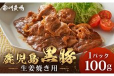 鹿児島県産 黒豚生姜焼きセット 100g 味付き肉 冷凍 NS-20 | 鹿児島 黒豚 かごしま黒豚 お肉 肉 豚肉 しょうが焼き 焼くだけ 味付き おかず お弁当 加工肉 真空パック 鹿児島県 南大隅町 南州農場