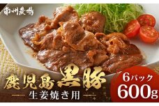 鹿児島県産 黒豚生姜焼きセット 100g×6パック 味付き肉 冷凍 NS-22 | 鹿児島 黒豚 かごしま黒豚 お肉 肉 豚肉 しょうが焼き 焼くだけ 味付き おかず お弁当 加工肉 真空パック 鹿児島県 南大隅町 南州農場
