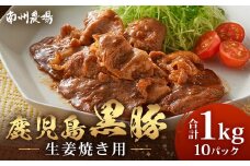 鹿児島県産 黒豚生姜焼きセット 100g×10パック 味付き肉 冷凍 NS-23 | 鹿児島 黒豚 かごしま黒豚 お肉 肉 豚肉 しょうが焼き 焼くだけ 味付き おかず お弁当 加工肉 真空パック 鹿児島県 南大隅町 南州農場