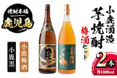 A44006 小鹿酒造芋焼酎・梅酒セット！小鹿黒・小鹿梅酒(各1800ml・計2本) ふるさと納税 肝付町 特産品  鹿児島 国産 酒 アルコール 焼酎 芋焼酎 梅酒 黒麹 一升瓶 ロック お湯割り ソーダ割 飲み比べ 宅飲み セット ギフト 贈答【株式会社きもつき未来商社そらまち】