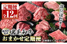 G01001 ＜定期便・全12回＞鹿児島県産黒毛和牛おまかせ定期便 鹿児島 牛肉 黒毛和牛 シャトーブリアン サーロインステーキ リブロース カルビ 焼肉 すき焼き 定期便 【新村畜産】