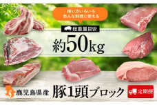 G05032 ＜定期便・計6回(連続)＞ 鹿児島県産豚1頭ブロックセット(総量約50kg前後) 肝付町 特産品 豚肉 肩ロース バラ ウデ モモ ヒレ スペアリブ ブロック 【大将食品】