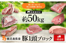 G05031 ＜一括送付＞鹿児島県産豚1頭ブロックセット(6箱・総量約50kg前後) 肝付町 特産品 豚肉 肉ロース 肩ロース バラ ウデ モモ ヒレ スペアリブ 鹿児島 【大将食品】